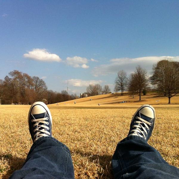 Cedar & Pine Soy Candle - image 1