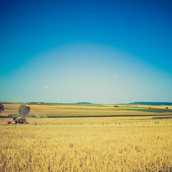 Recycled Ocean Plastic Sunglasses