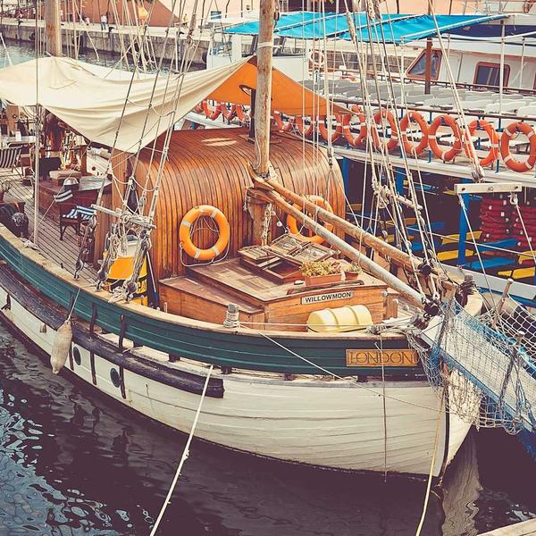 Self-Watering Herb Planter - image 1