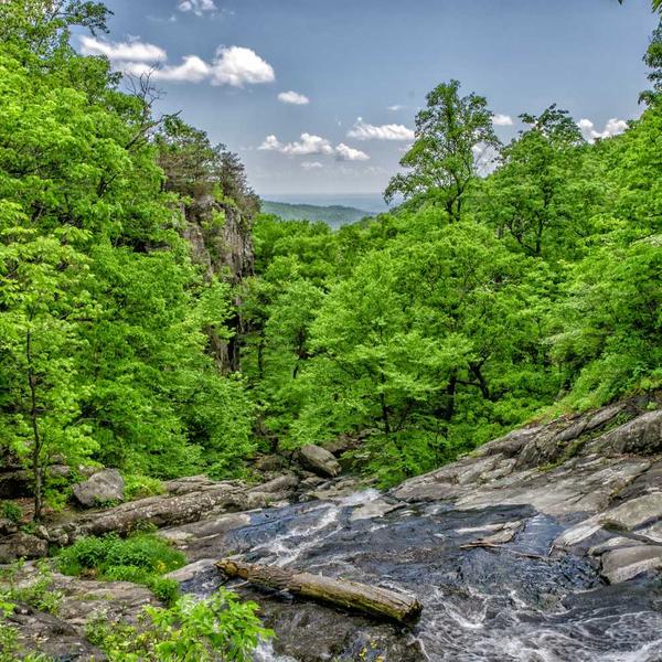 Cherry Wood Salad Bowl