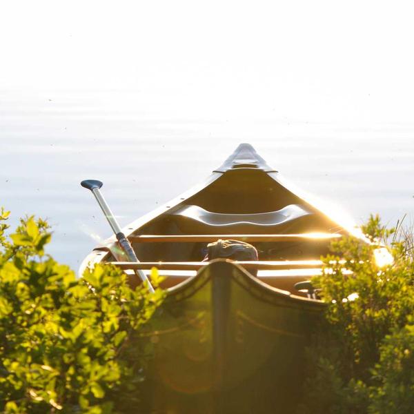 Bamboo Wireless Charger - image 2