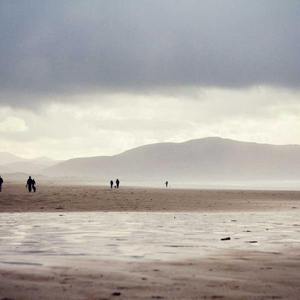 Rosehip Night Cream - image 3