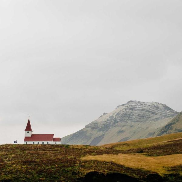 Coconut Repair Shampoo - image 3