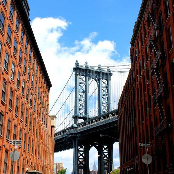 Eucalyptus Shower Steamers (6-Pack) - image 3