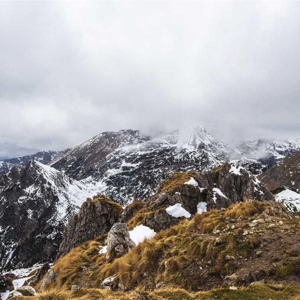 Leather Journal Cover - image 2