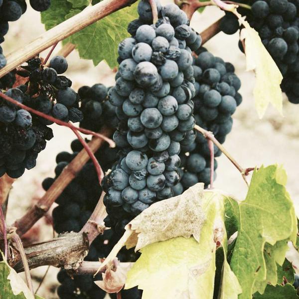 Reclaimed Wood Picture Frame